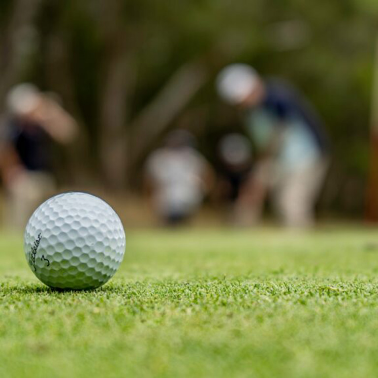 A golf ball on a putting green.